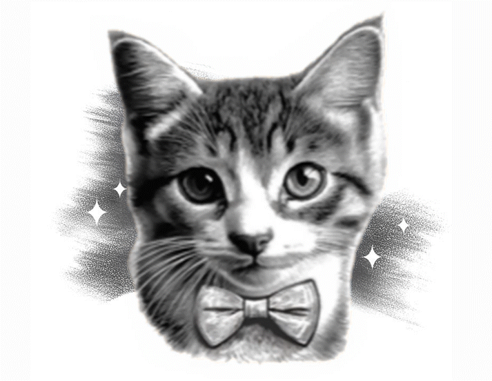 Croquetas para gatos